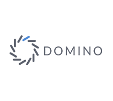 Domino Data Lab